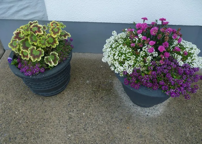 Armcashel Bed & Breakfast